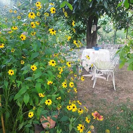 Maroulas House Chrysomiléa