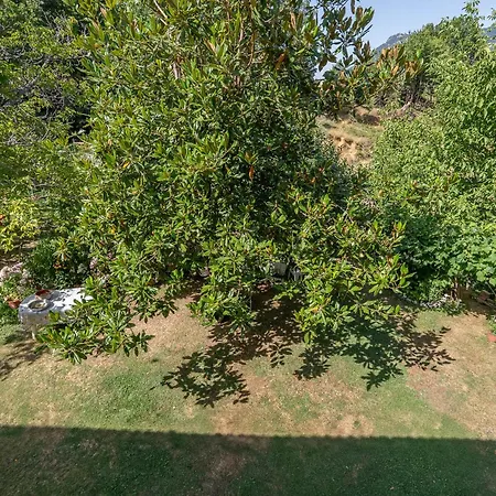 Maroulas House 别墅